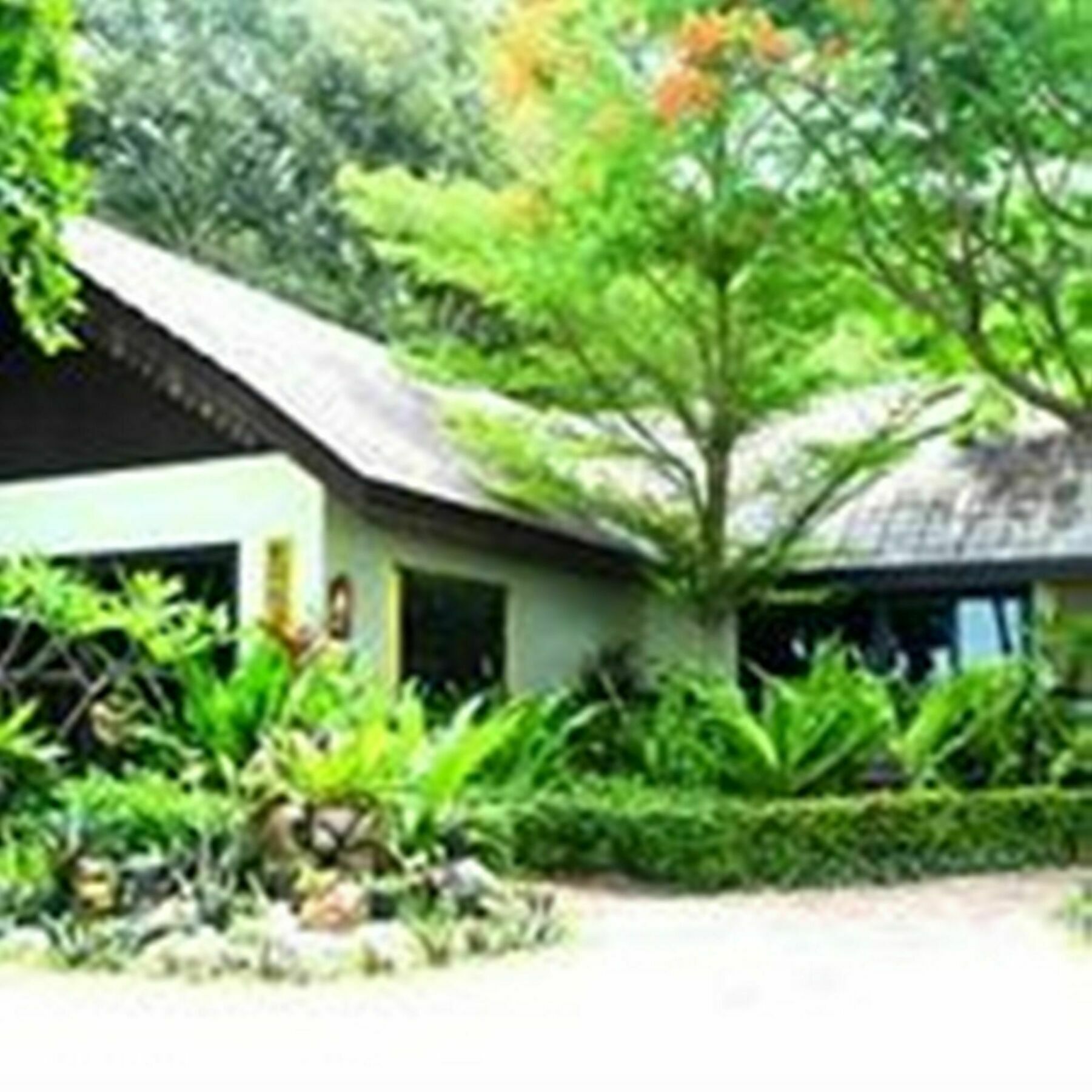 Paradise Pearl Bungalows Islas Phi Phi Exterior foto